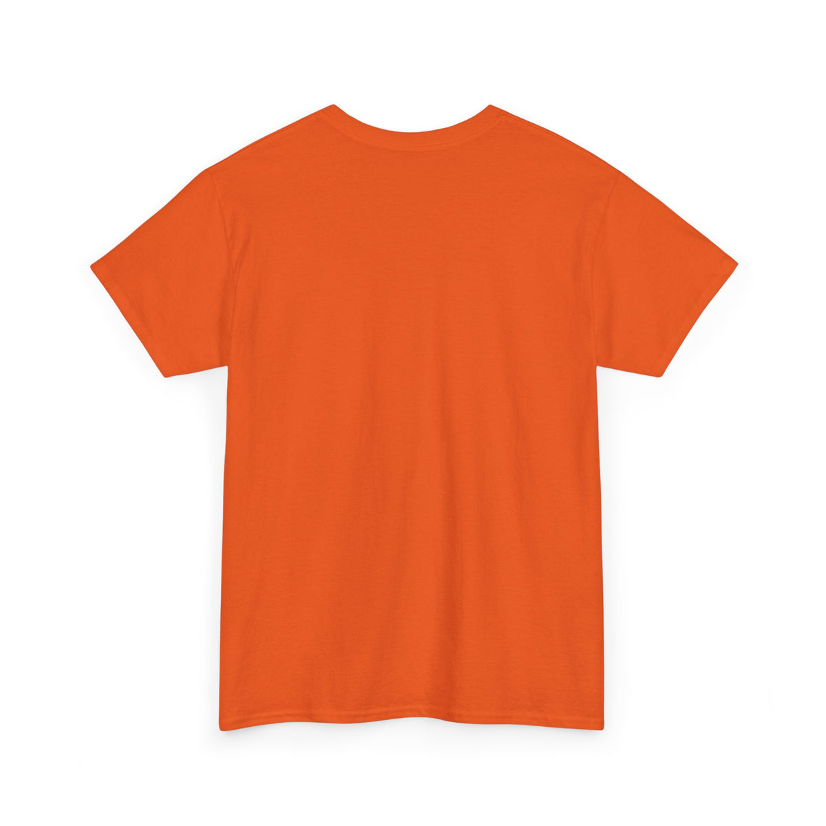 Auburn University Vintage Logo T-Shirt