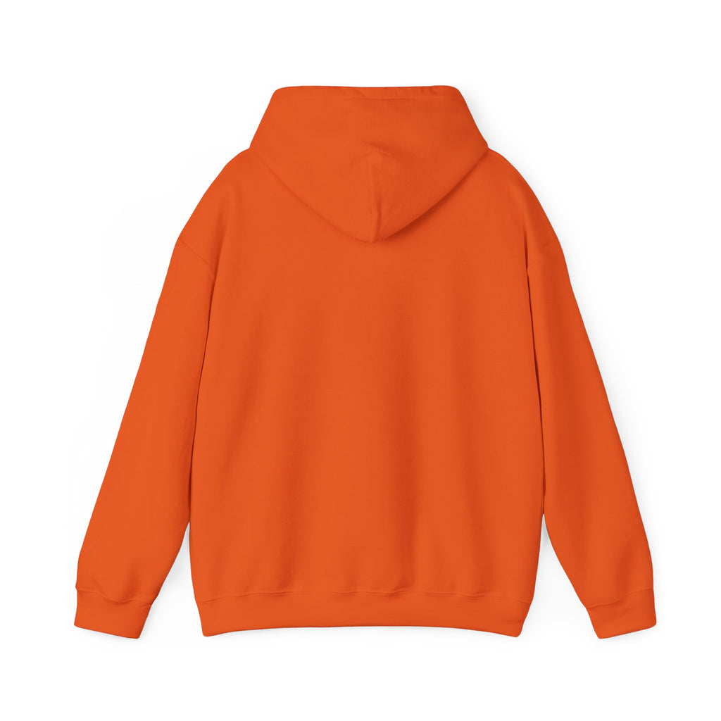 University of Florida Gators College Hoodie