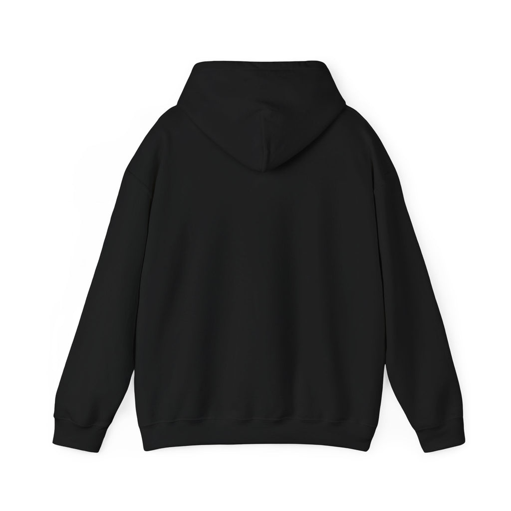 Auburn University Logo Hoodie