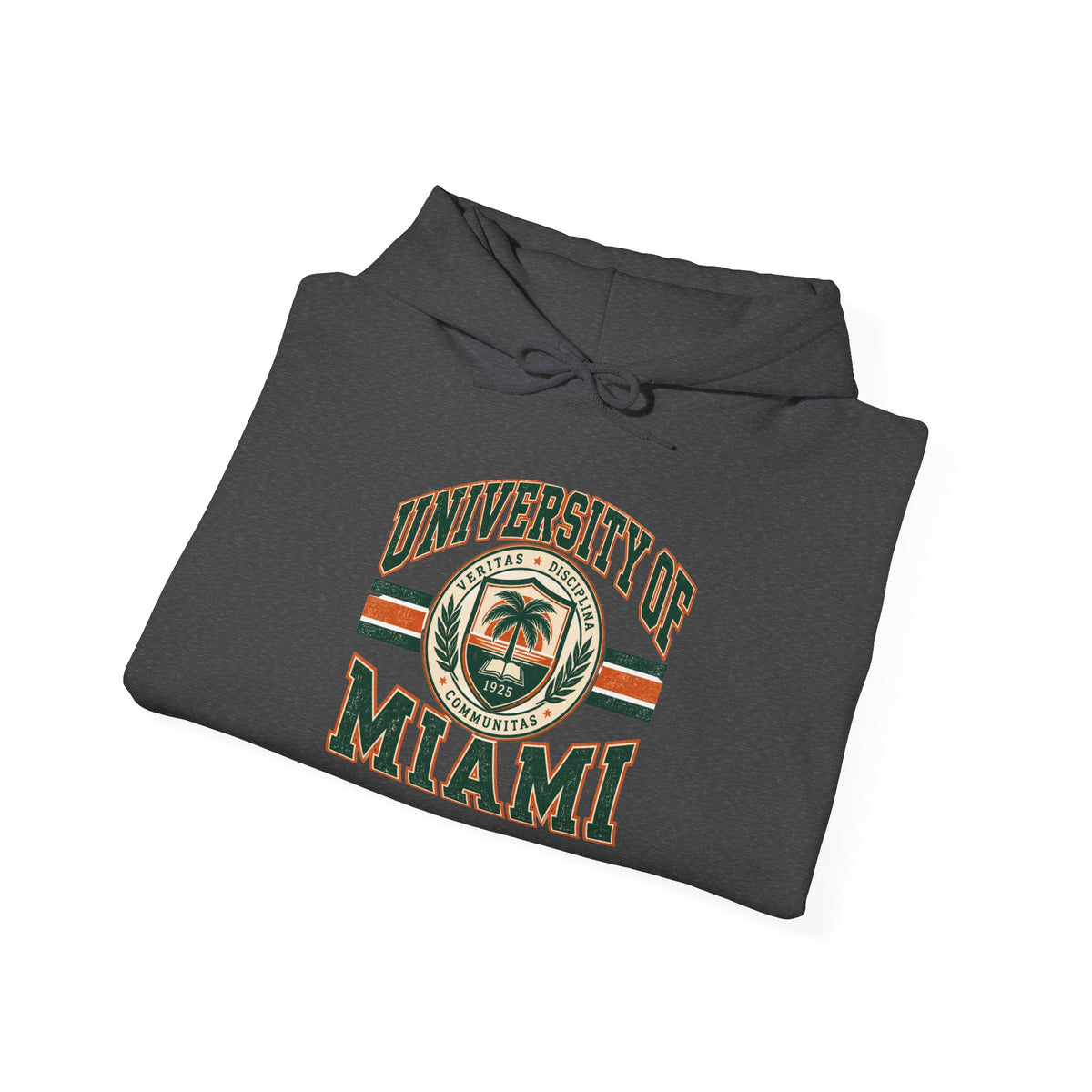 University of Miami College Logo Hoodie