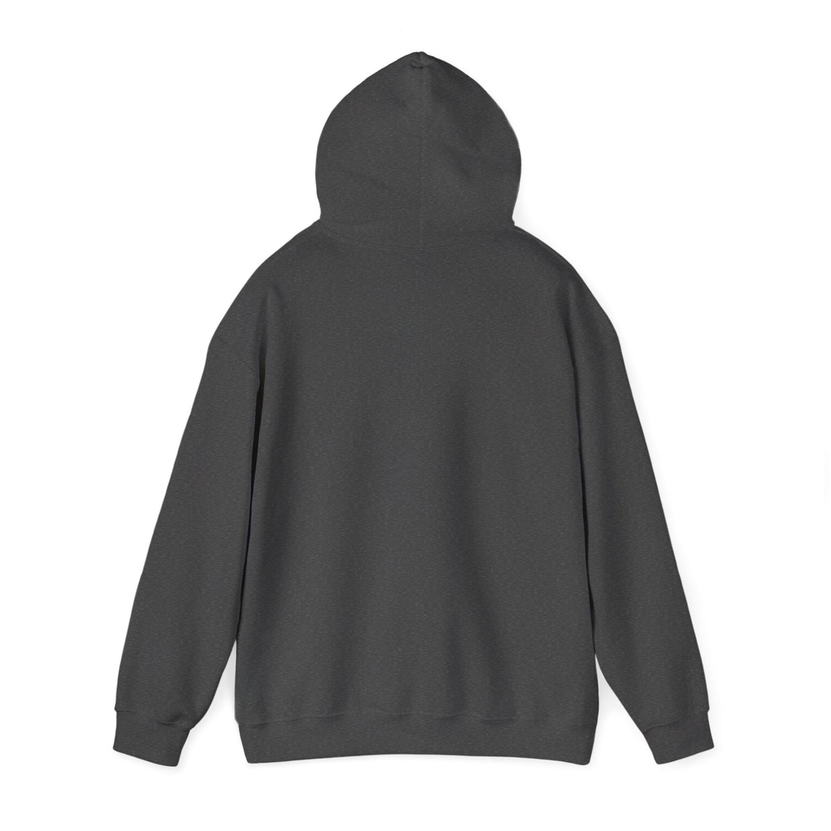 Auburn University Logo Hoodie