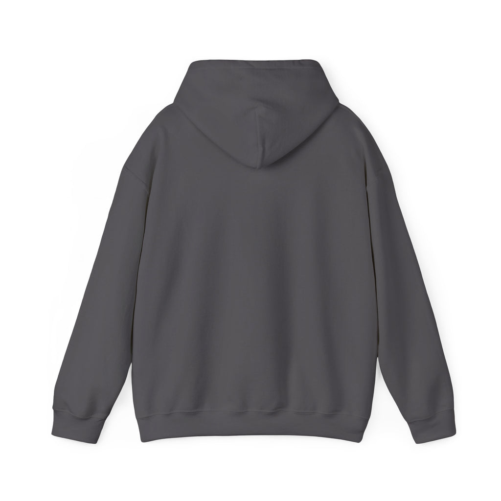 University of Michigan Wolverines Logo Hoodie
