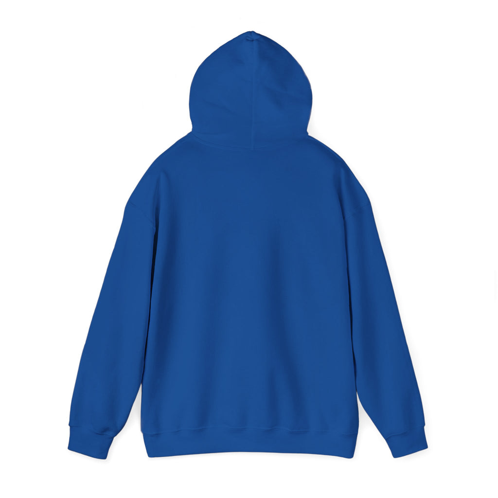 University of Florida Gators College Hoodie