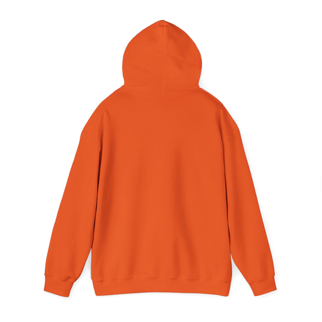University of Florida Gators College Hoodie