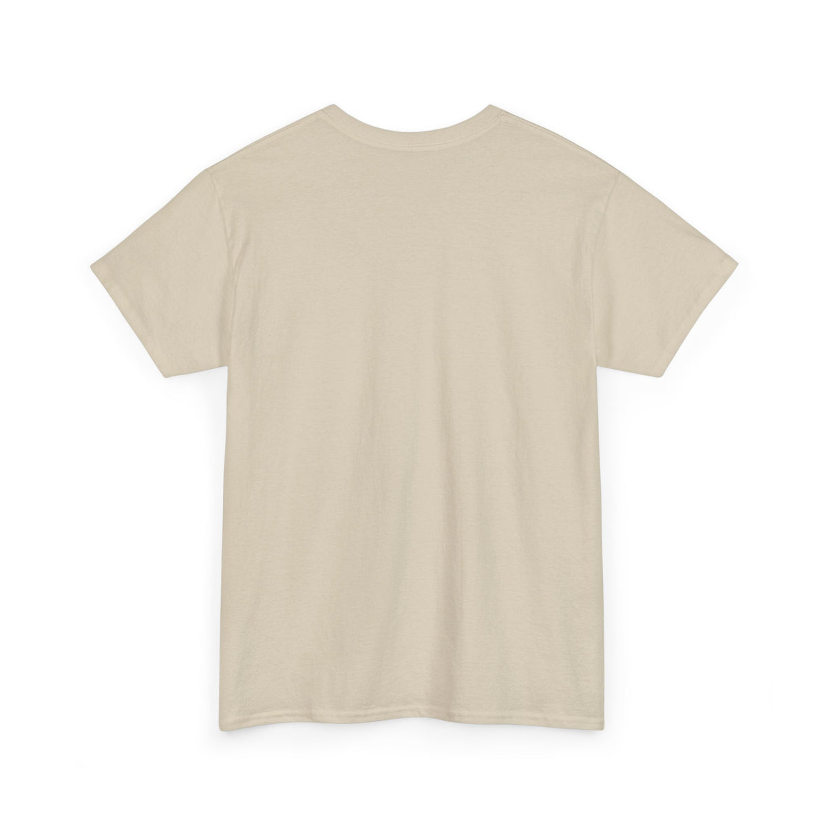 Auburn University Vintage Logo T-Shirt